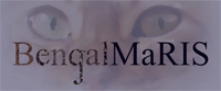BengalMaRIS logo